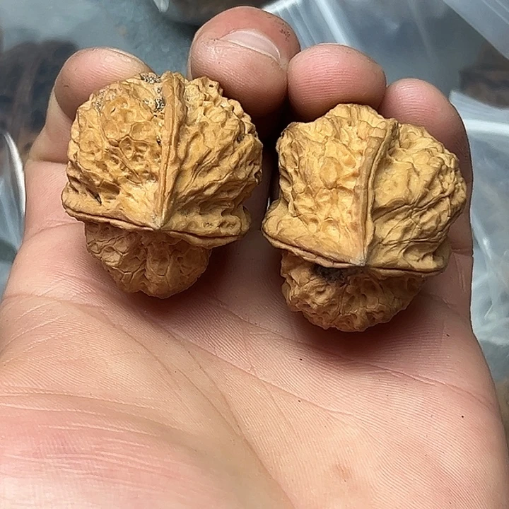 文玩核桃把件21号福利三楞38尺