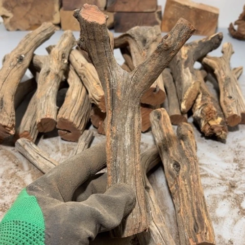 大果紫檀（缅甸花梨）曾***诺