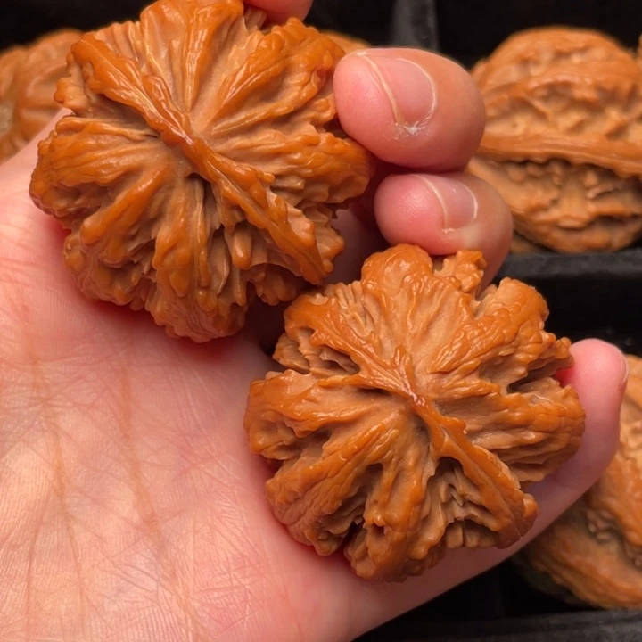 菩提籽类秦岭野生核桃文玩