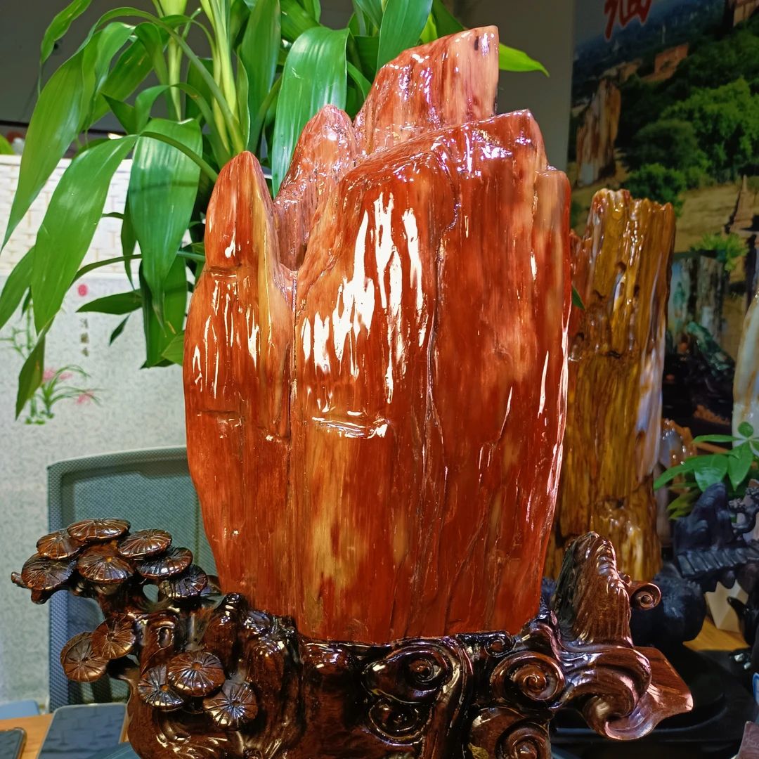 树化玉精品红豆杉总高545裸高360宽228厚110MM裸16.3斤天然硅化玉