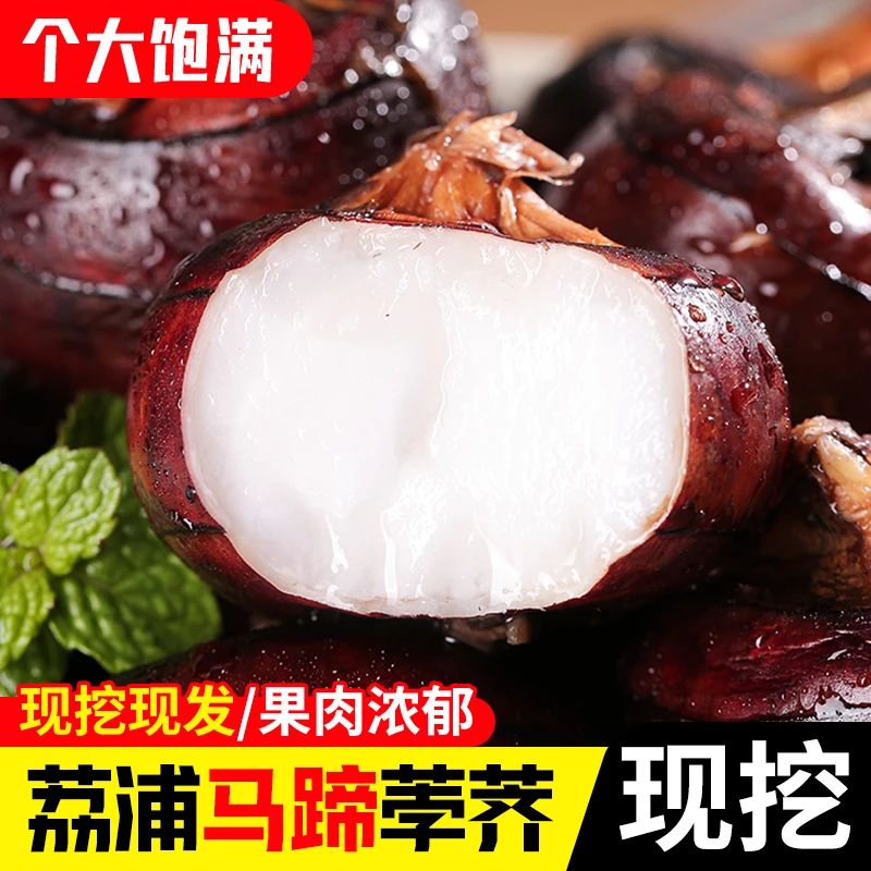 2025广西马蹄荸荠现挖新鲜大果脆甜爽口薄脆无渣农家特产水果包邮