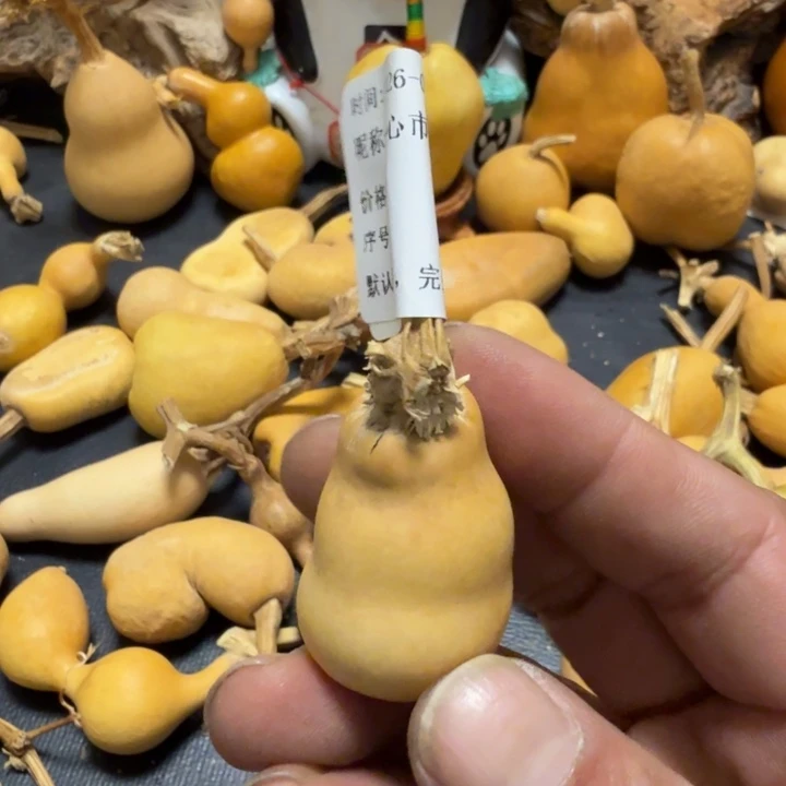 热***圆我的心好痛啊我的