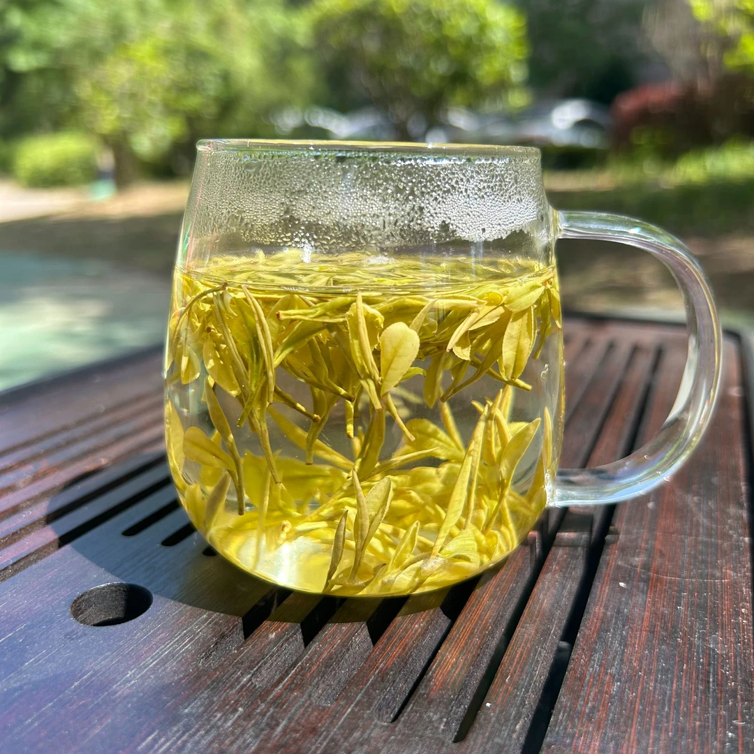 安吉黄金叶耐泡醇香原产地春茶