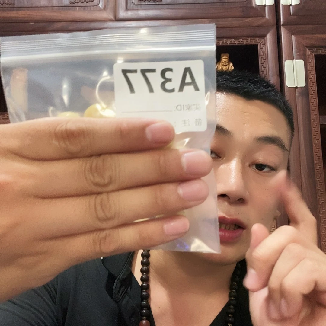 大果紫檀（缅甸花梨）377