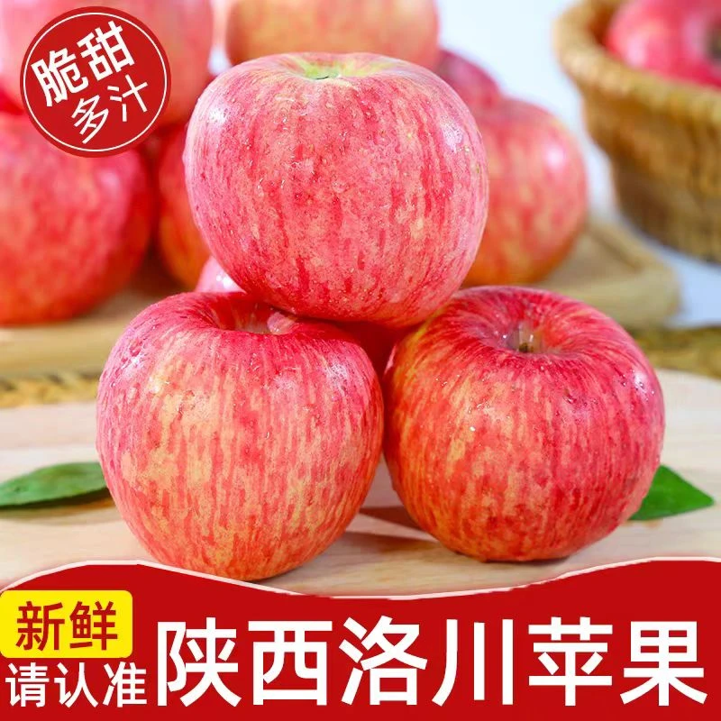 陕西洛川红富士苹果皮薄肉厚脆甜可口新鲜水果