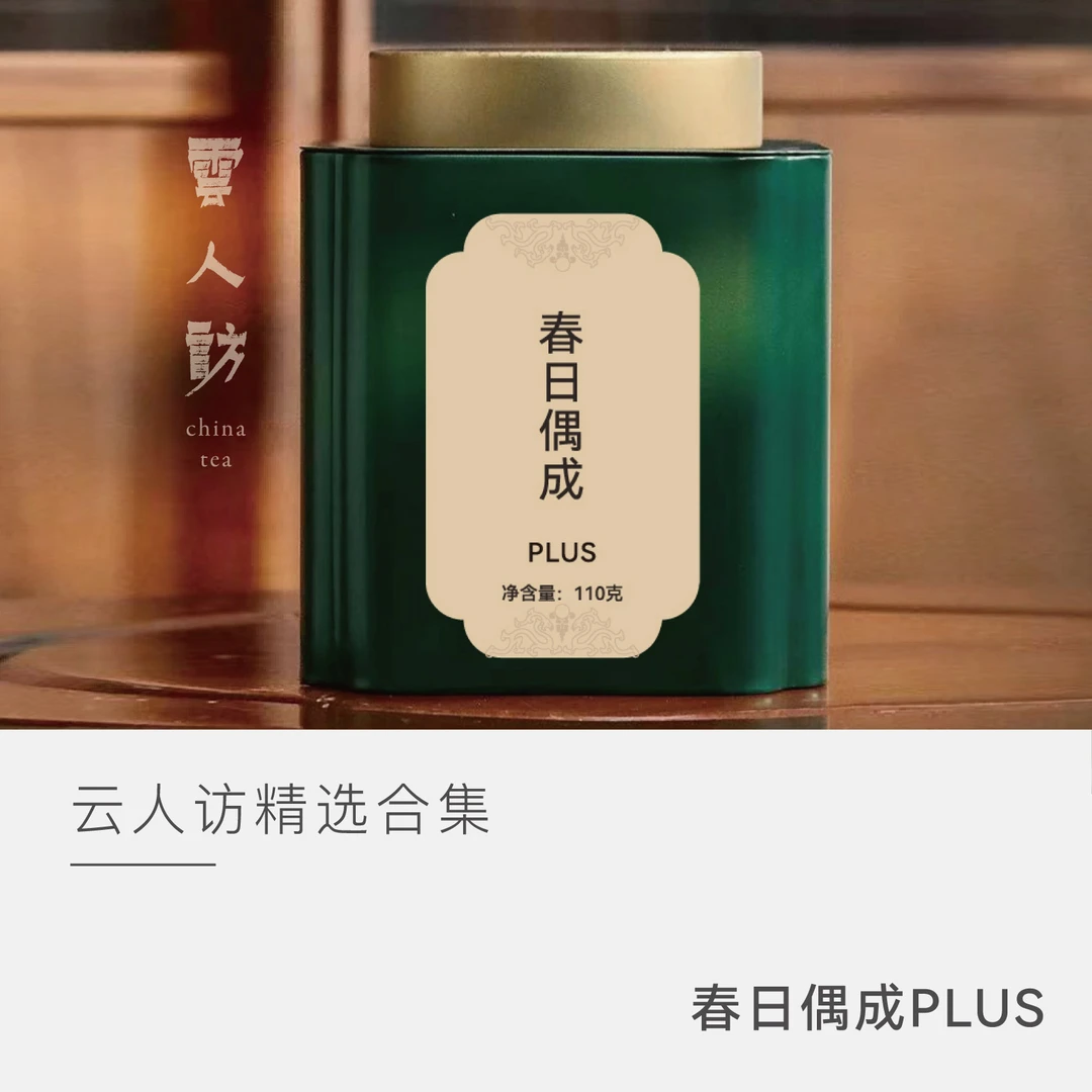 【云人访】春日偶成PLUS(素念55g+春华55g)寿眉福鼎白茶银龙