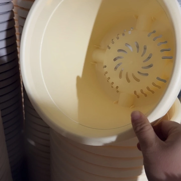 四季4号米黄无托10个特价