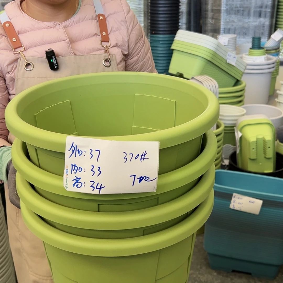 玫瑰370#果绿色6个无托