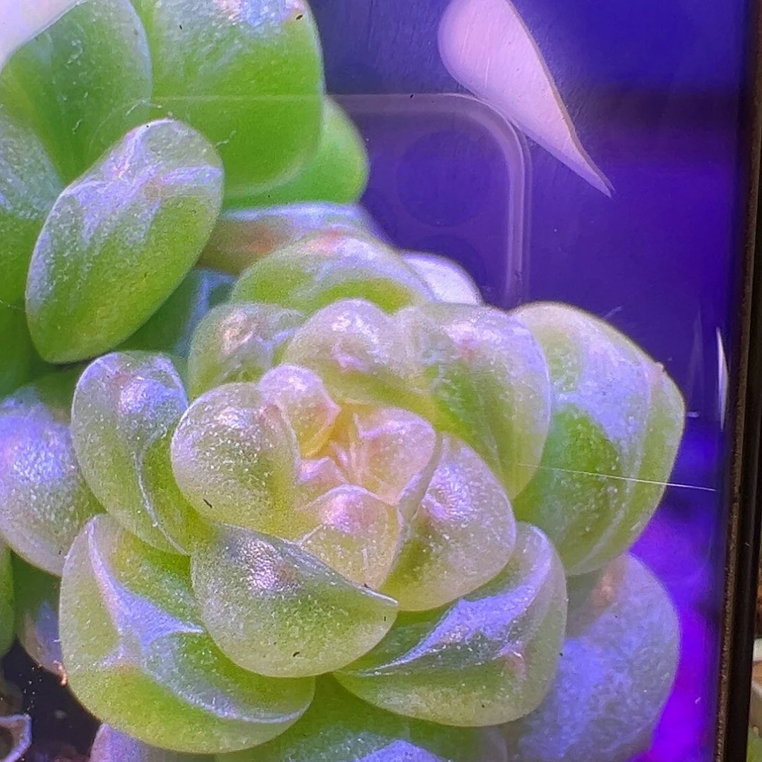 财富密码Ct状态图参考