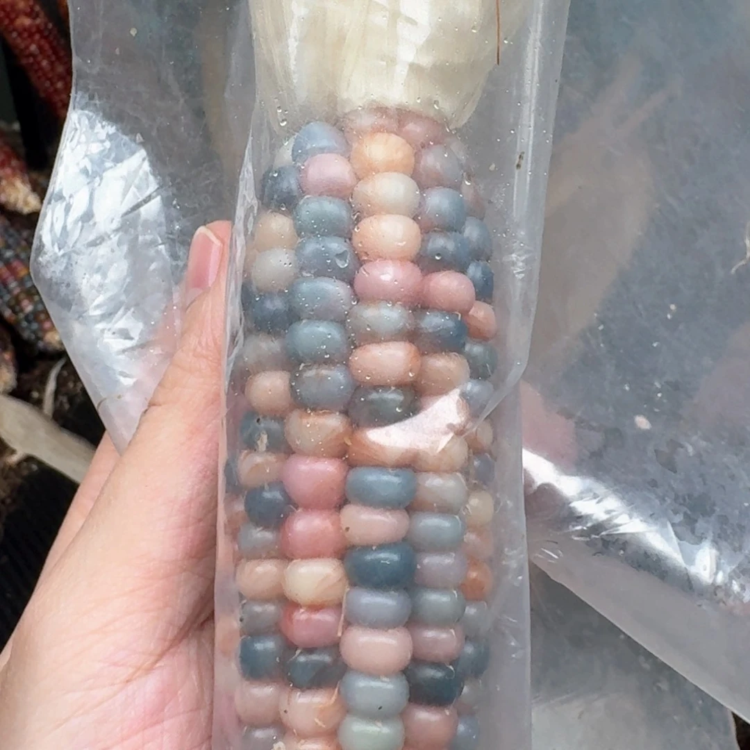 柏香籽/百香籽吊坠H**n