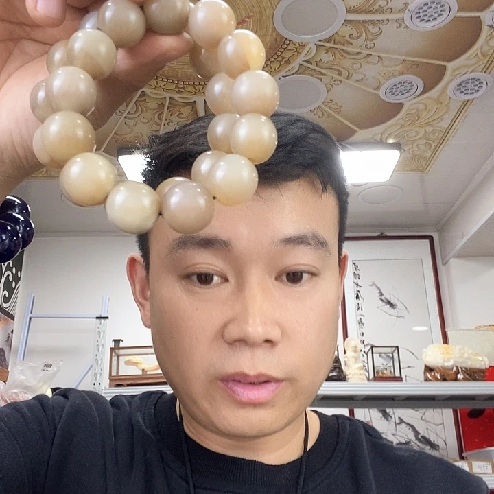 树脂非金属2469。