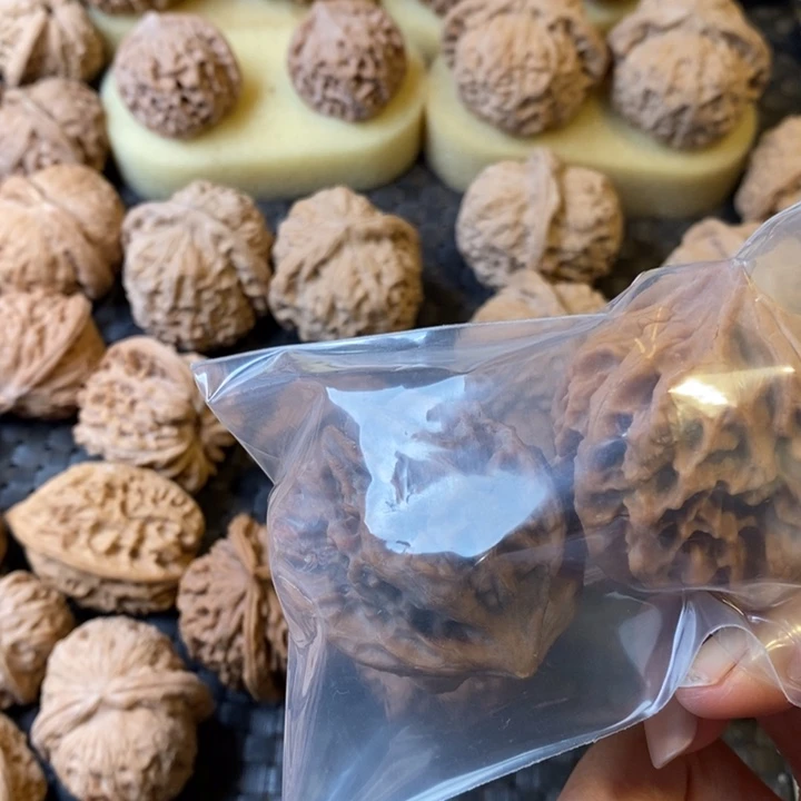 志大龙大龙大龙大龙大龙