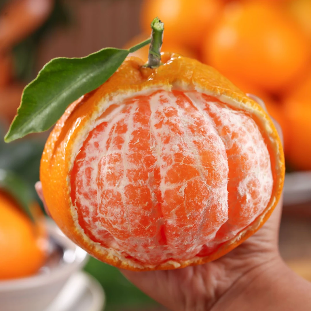 四川春见耙耙柑5/8斤新鲜水果现摘当季粑粑柑丑橘多汁