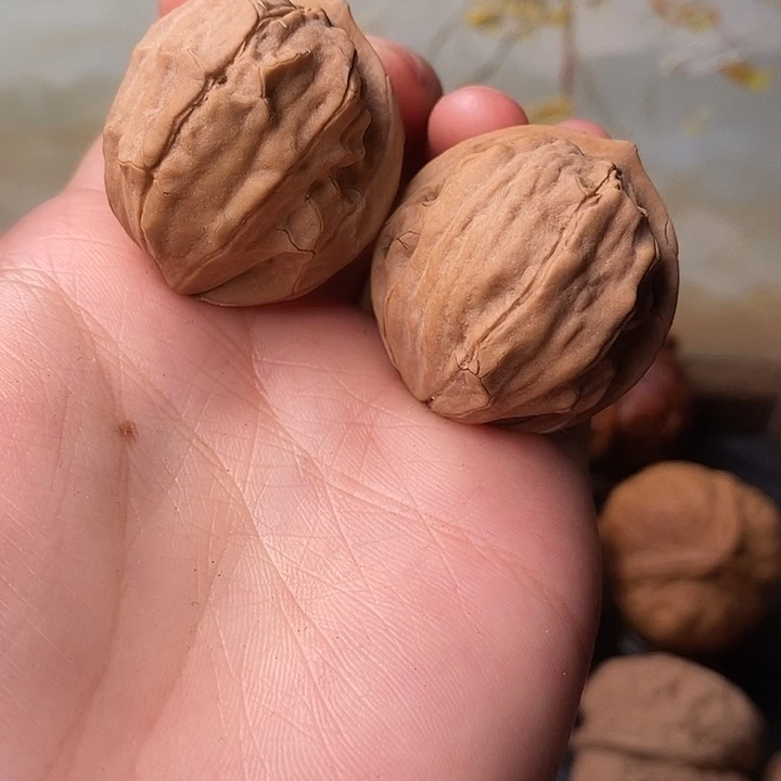 吊坠文玩核桃铁核桃7