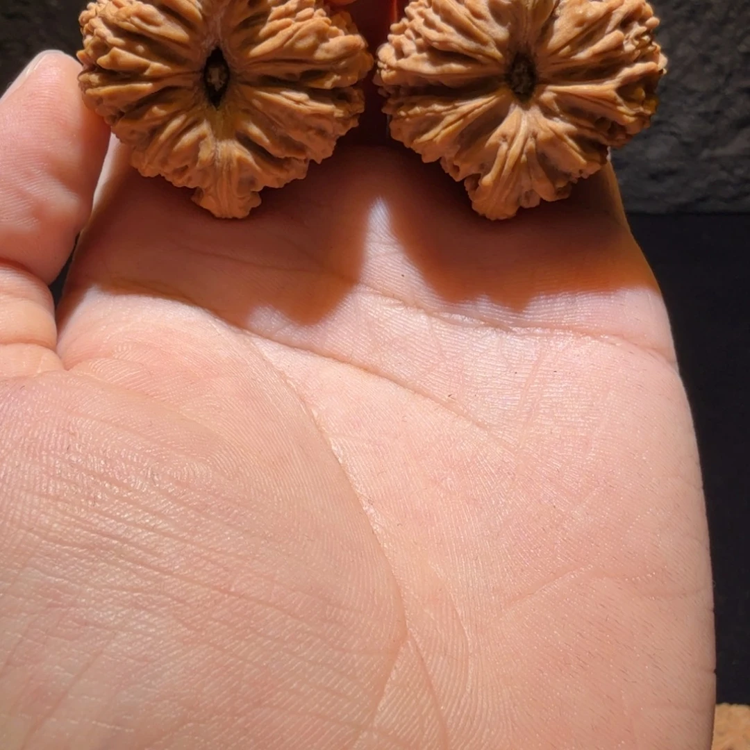 吊坠文玩核桃边37高40凹底高炮