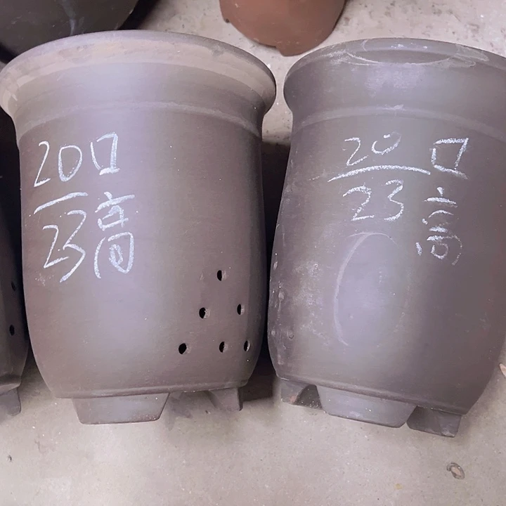 紫砂花盆周深周深周深周深周深