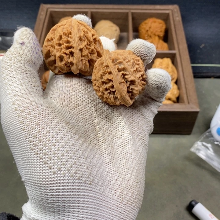 明***爷核桃等经济林果地的作用