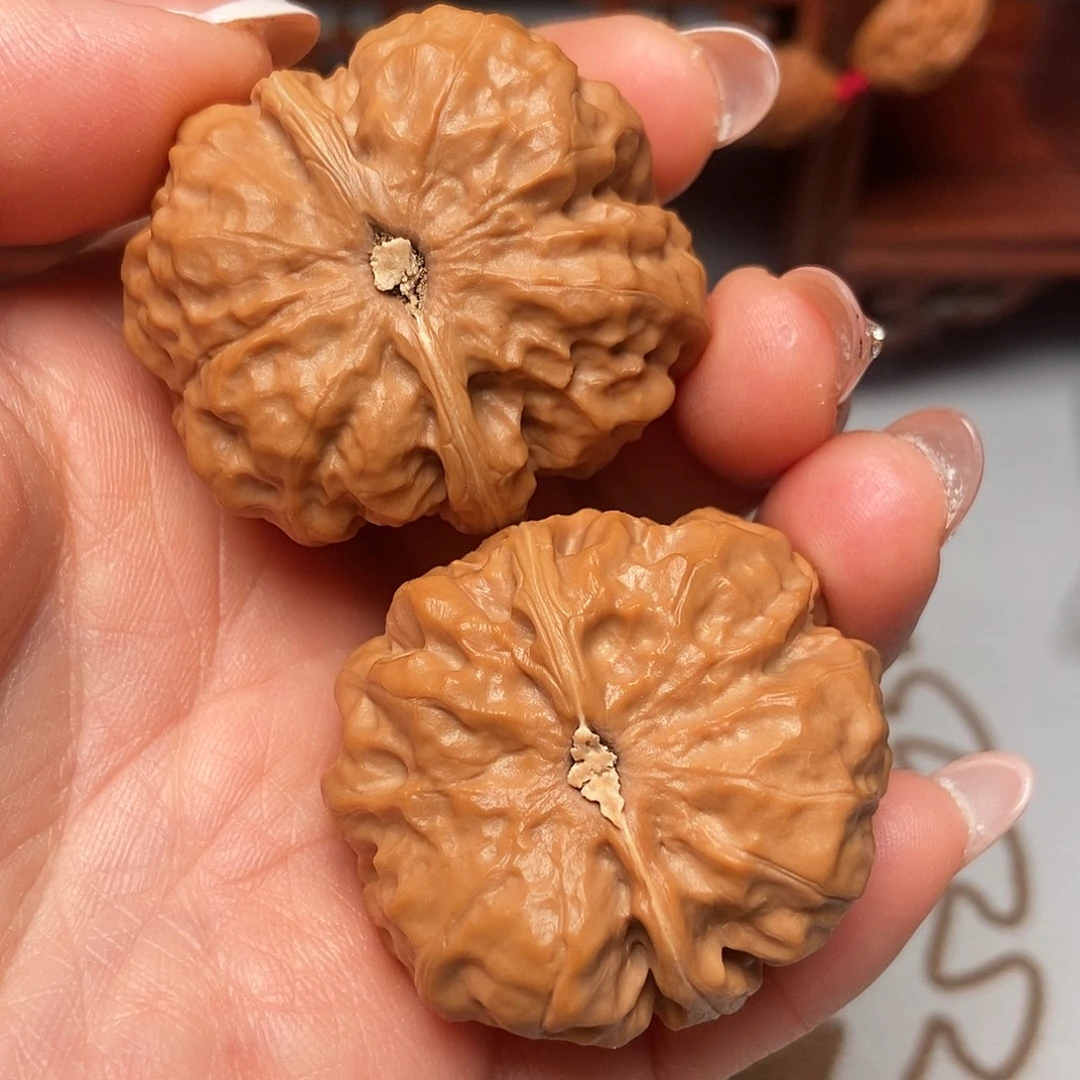 大叶紫檀（黑酸枝木类）