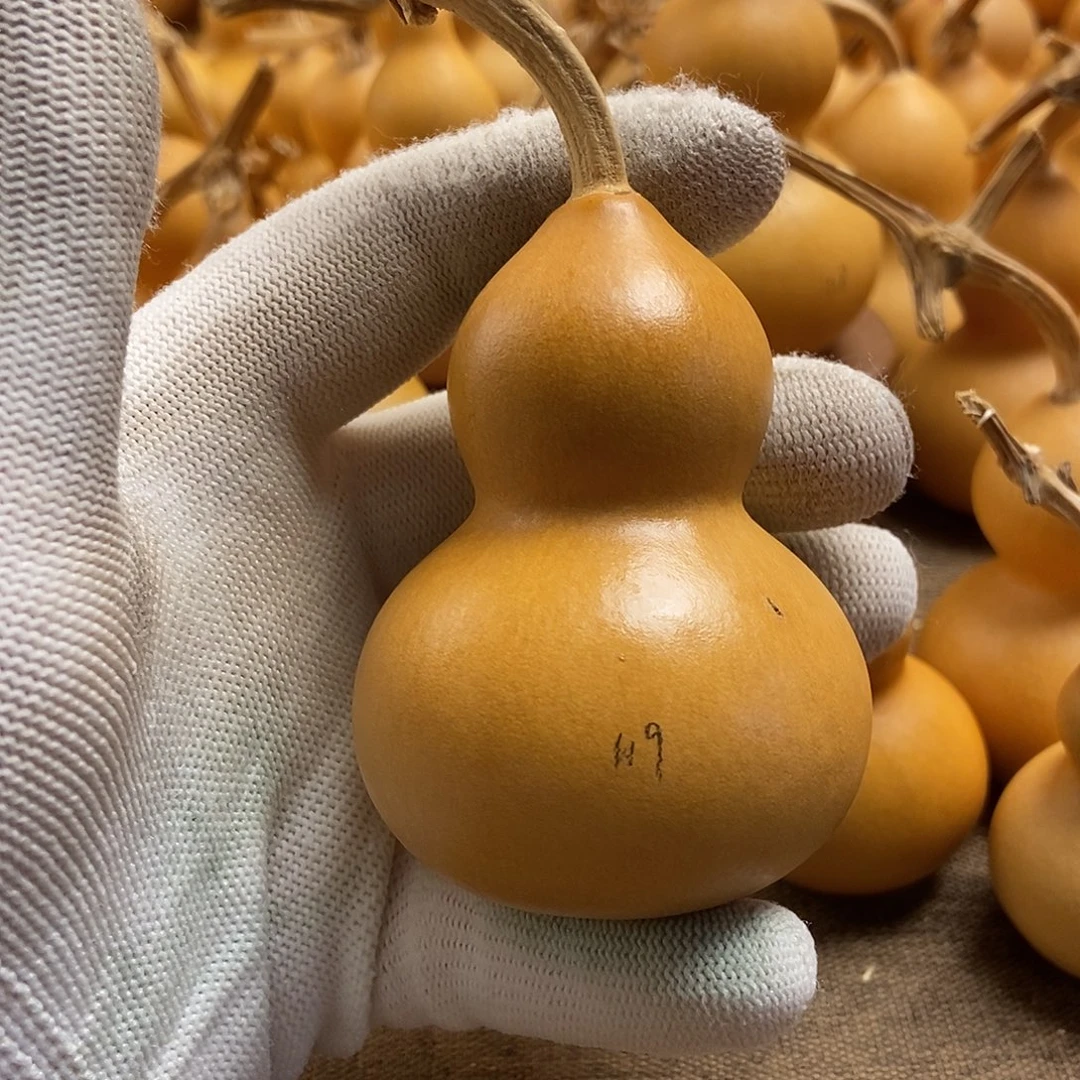 文玩葫芦  完美主义者 慎拍119