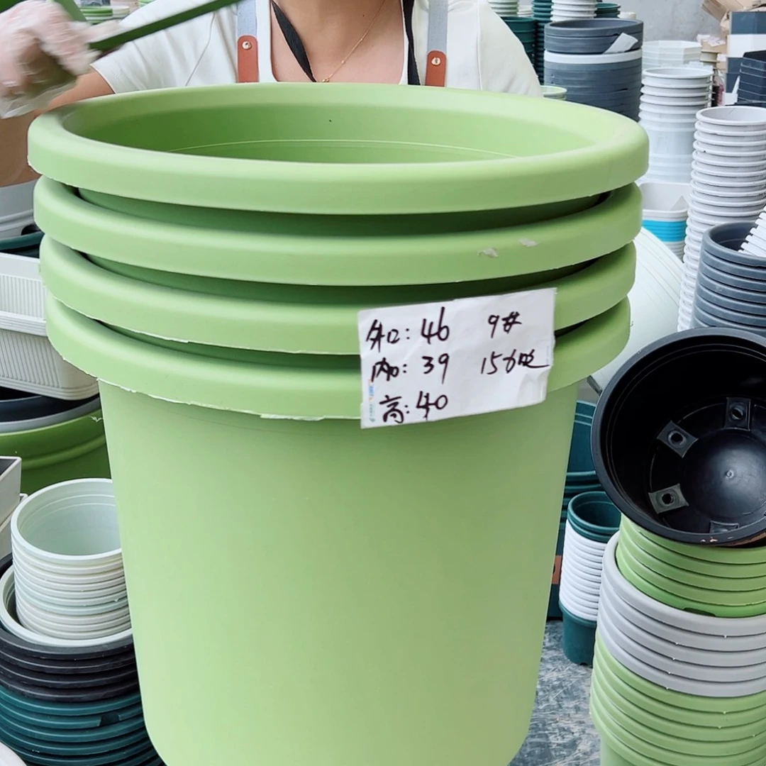 四季盆9#果绿色4个无托