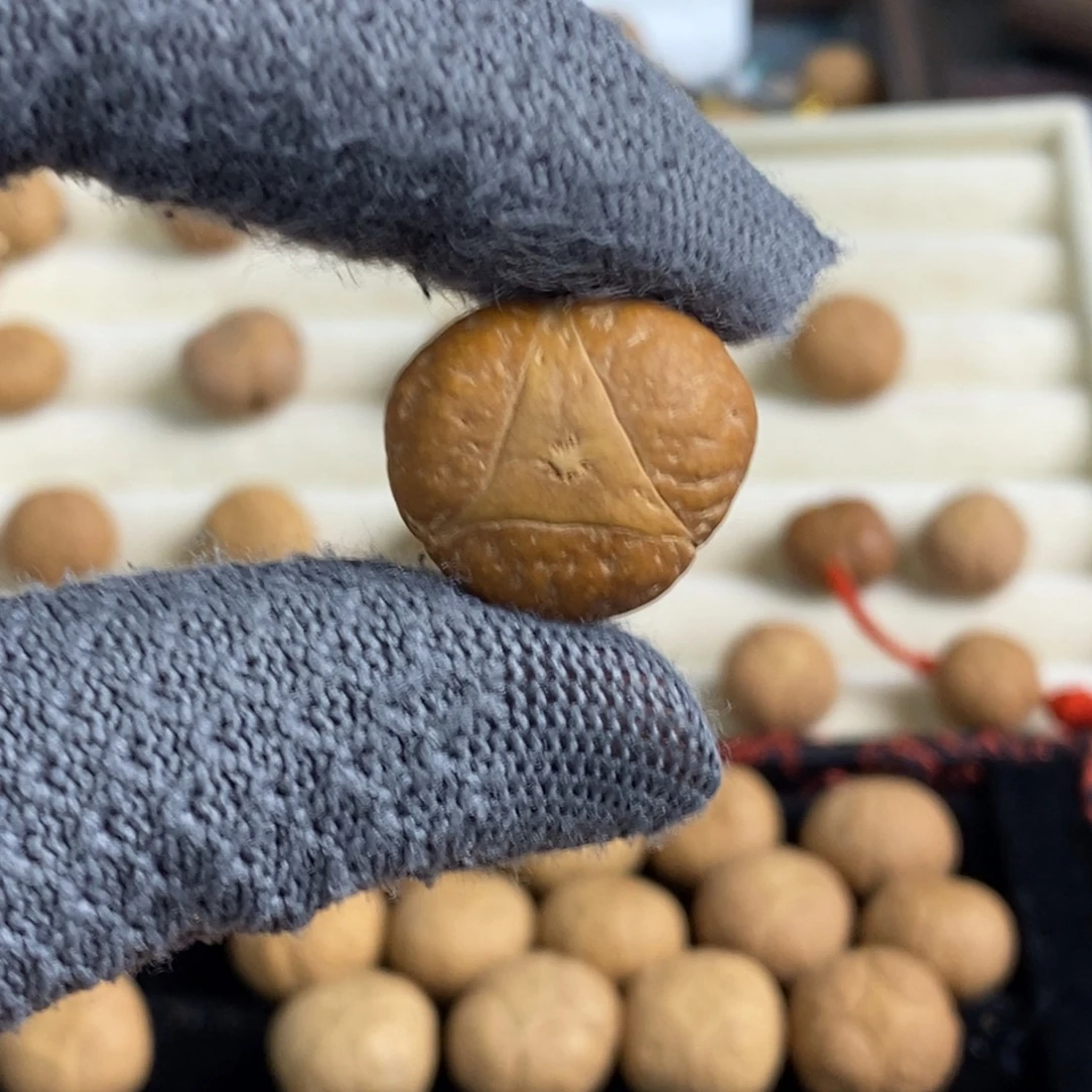 凤眼菩提吊坠21.7龙眼单颗