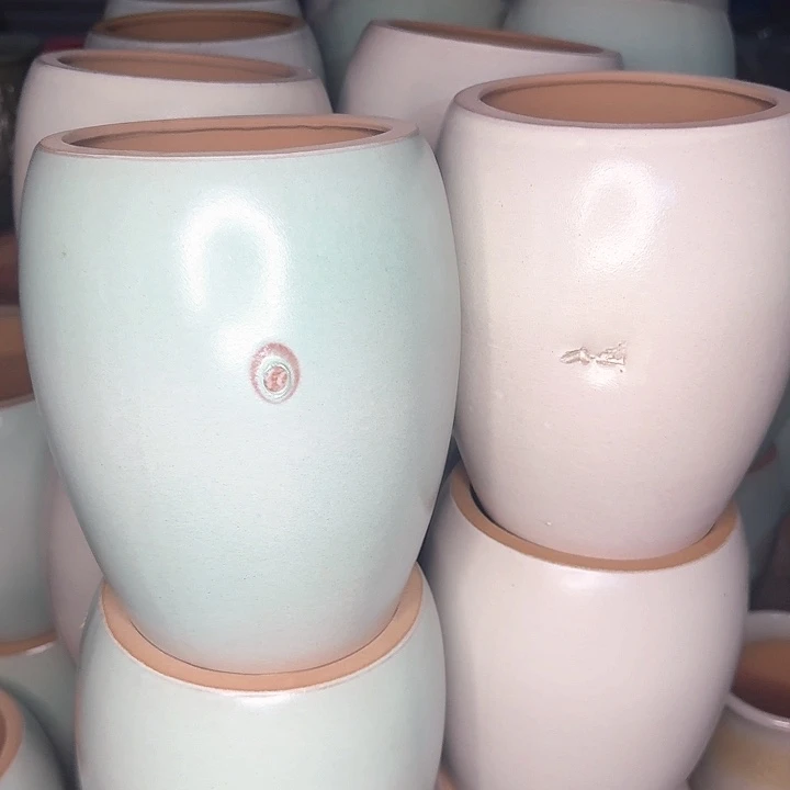 微瑕花盆啦啦来啦