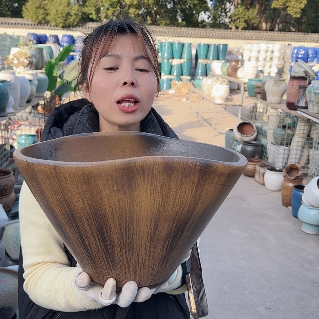 王嫂花盆1125-156高25口35