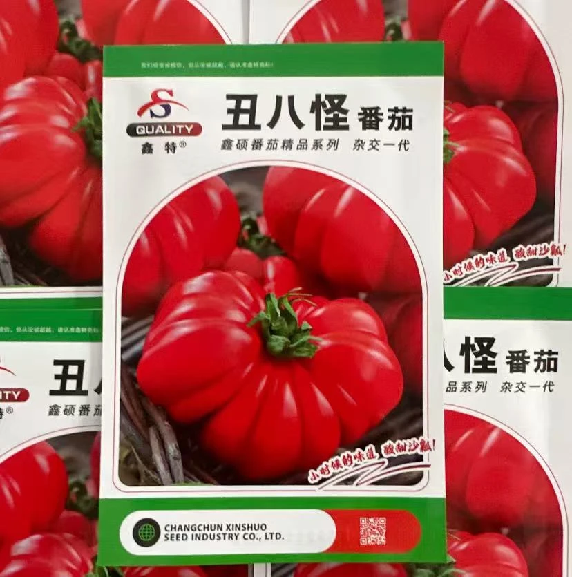 【丑八怪大红柿子种子】四季种植盆栽地栽阳台小院种植