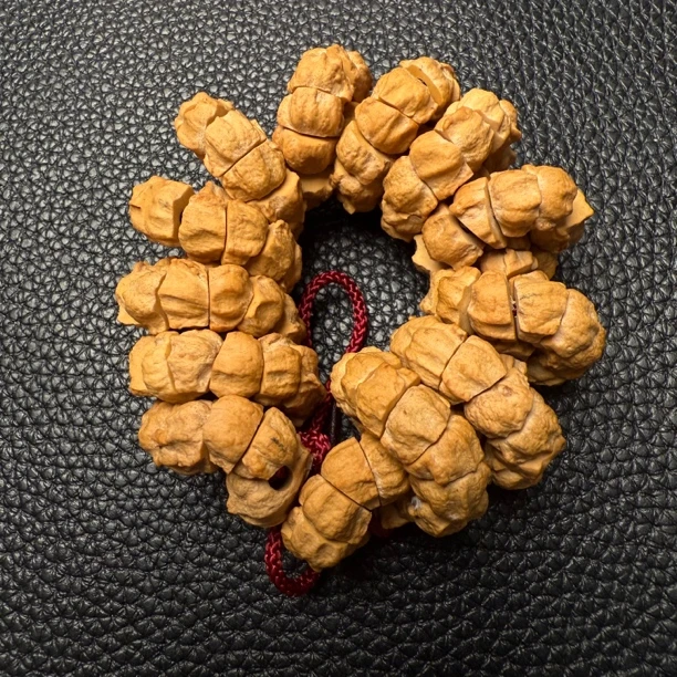热振一哥《灵宝大肠》定制级百香籽