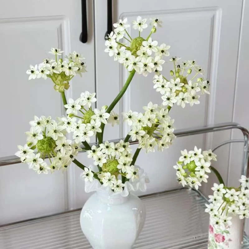 基地10支天鹅绒鲜切花鲜花基地直采直发顺丰包邮