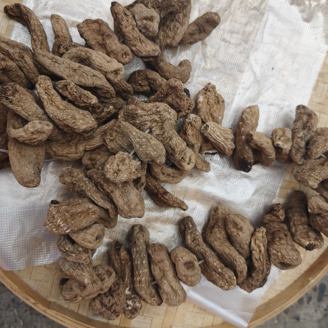 云南高原 串天麻 火妹甄选