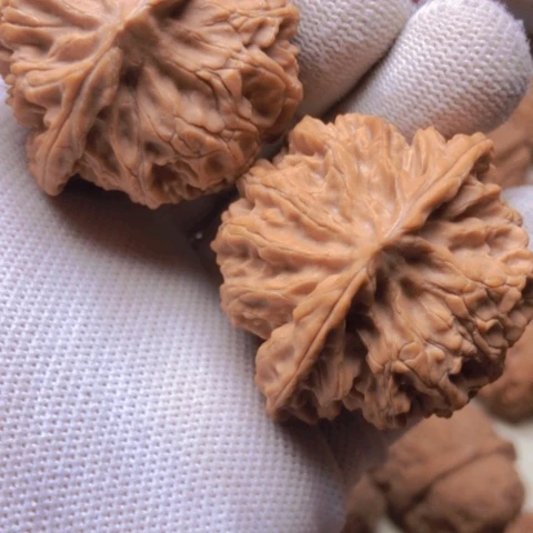 【闪购商品】桃核吊坠大****几苹果狮子头