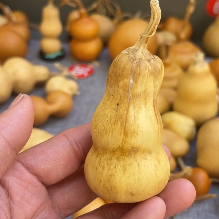 余***心葫芦哈哈哈哈哈哈哈哈