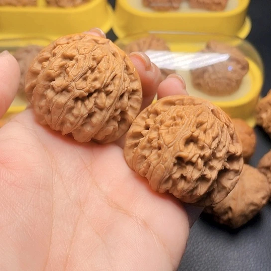 没**看文玩核桃白狮子一对