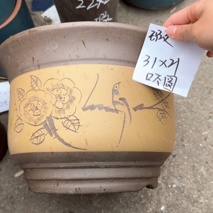 紫砂花盆闪购专属