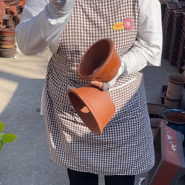 花盆花盆花盆花盆花盆花盆花盆