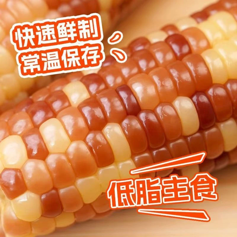 【整箱16根】真空包装彩糯玉米长度黄金8cm-12cm 可试吃5个