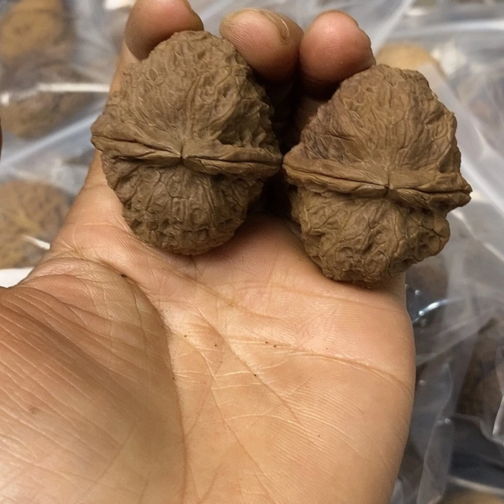 核桃云南铁核桃基地40