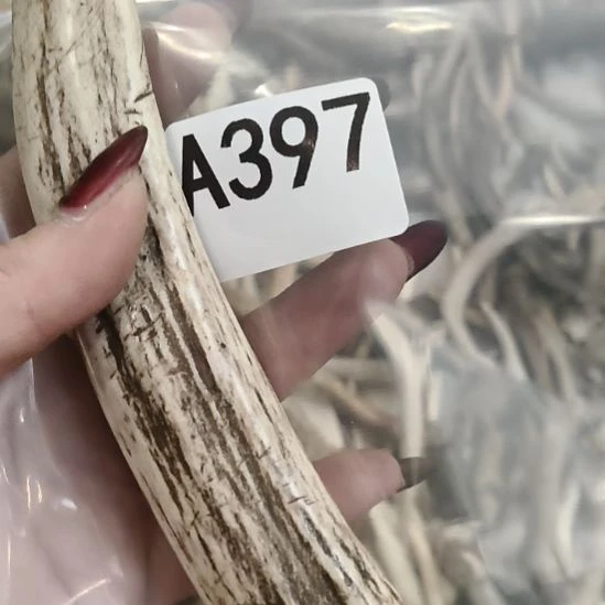 *****鹿角鹿角鹿角鹿角鹿角