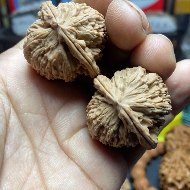 把件文玩核桃白狮子2