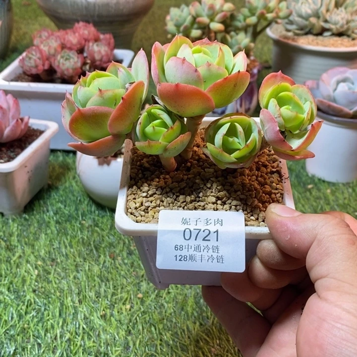 0721啊啊啊啊啊啊啊啊啊