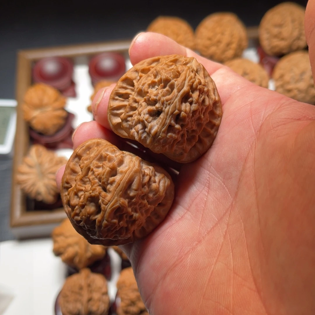 文玩核桃把件三角白狮子核桃尺寸41