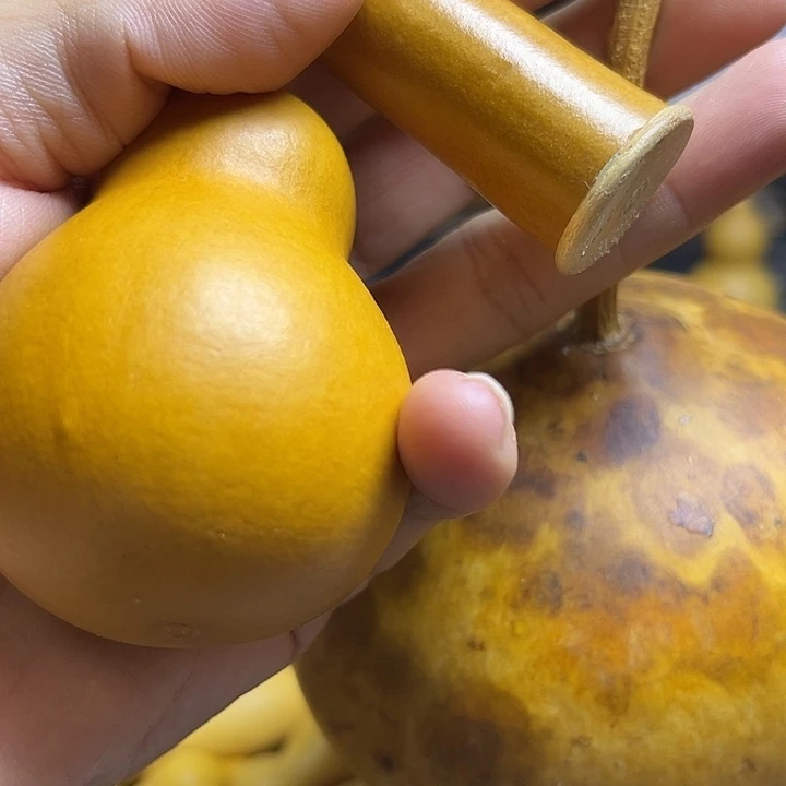 热***钟小葫芦一物一拍一个