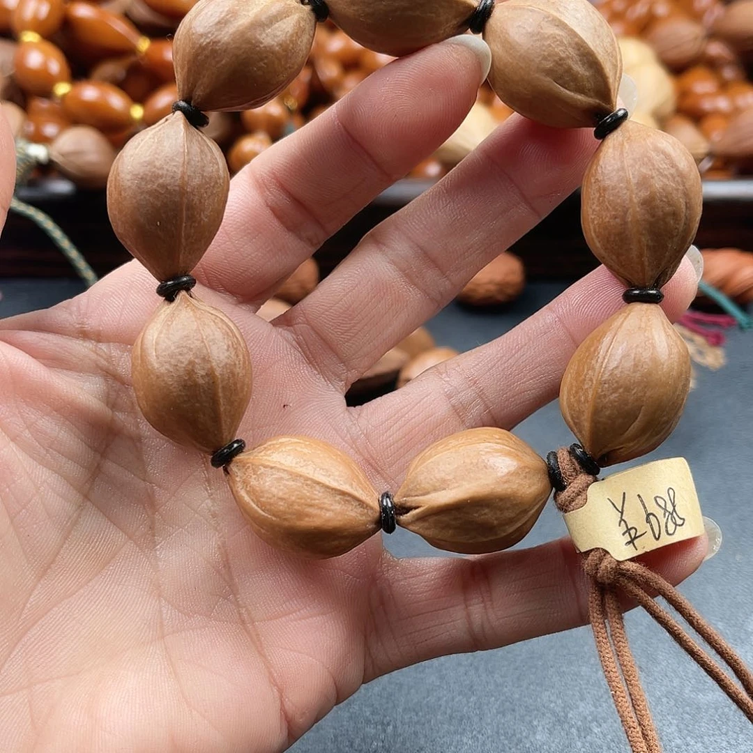 吊坠龙脊菩提橄榄树等植物