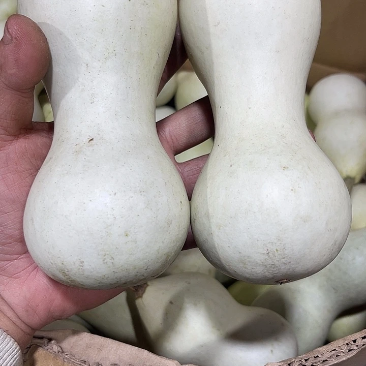 大果紫檀（缅甸花梨）吊*吴