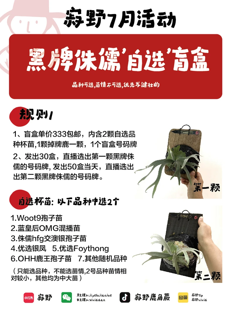 7月黑牌侏儒盲盒活动