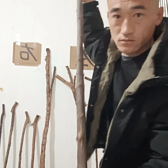 原木直播精品原木