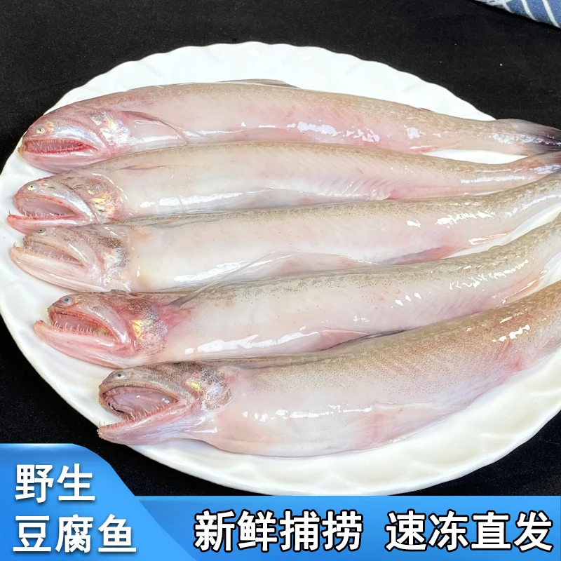 豆腐鱼深海捕捞龙头鱼九肚鱼水潺鱼新鲜速冻海鲜