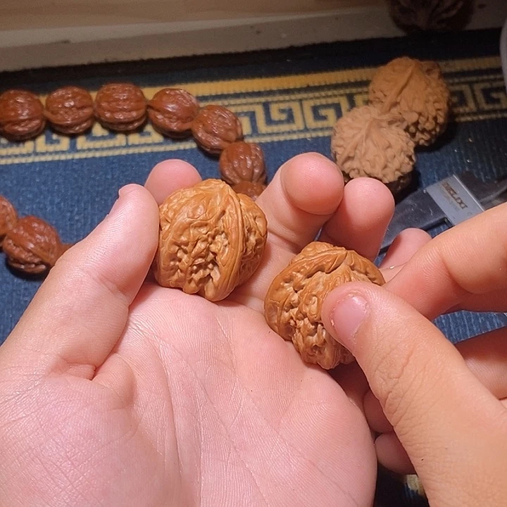 苔***觉全品白狮子一对儿