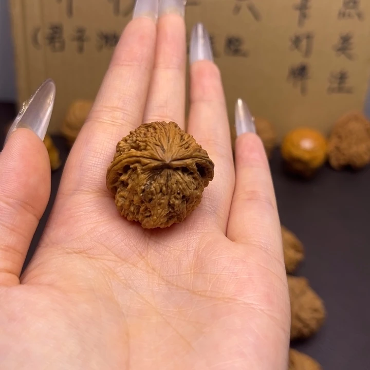 齐***齐菩提籽类南疆蛇单只异型有瑕